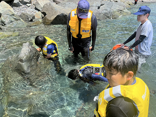 海の生物を探索