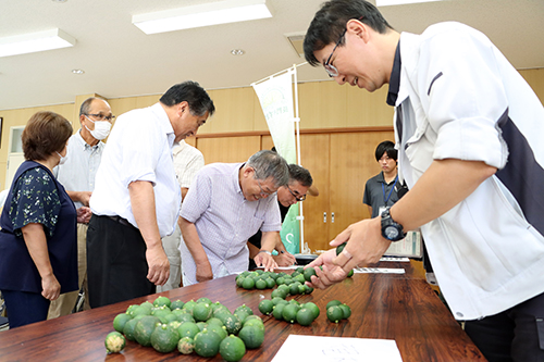 長門ゆずきちを分類する様子