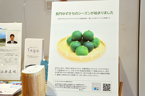設置は9月30日まで