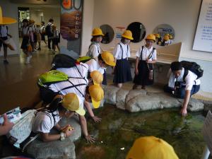 修学旅行１１