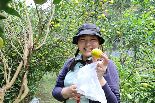 ゆずきちもぎの体験