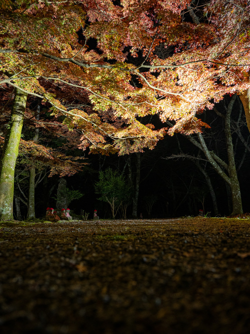 大寧寺紅葉の様子