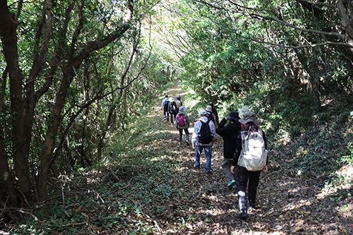 「五感で感じる癒しのひととき」体験会が開催