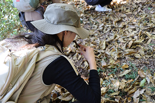 土の匂いを感じる参加者