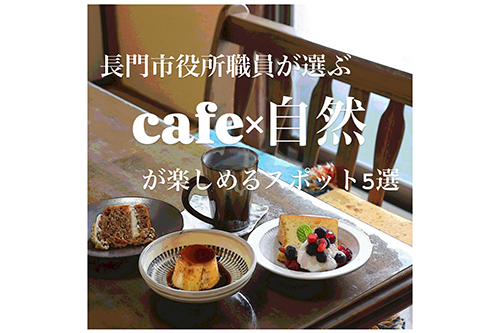 C班の作成したコンテンツ