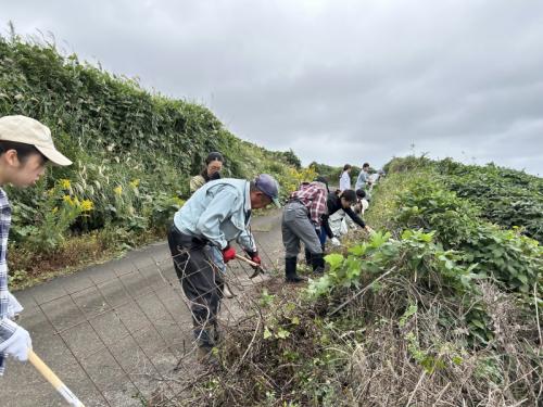 ボランティア活動の様子