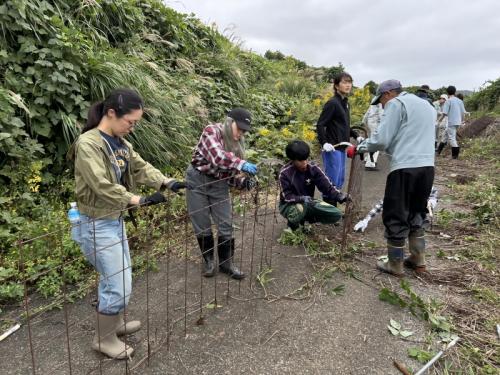 ボランティア活動の様子