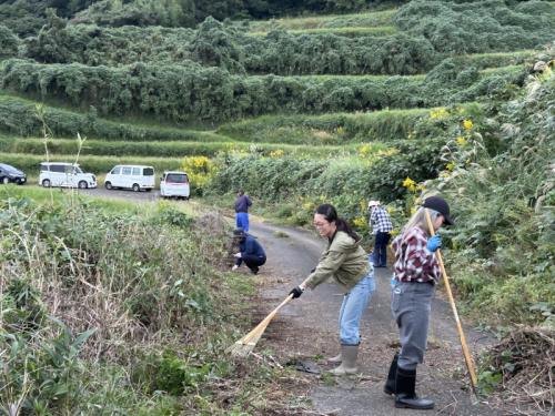 ボランティア活動の様子