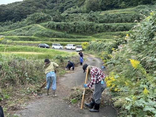 ボランティア活動の様子