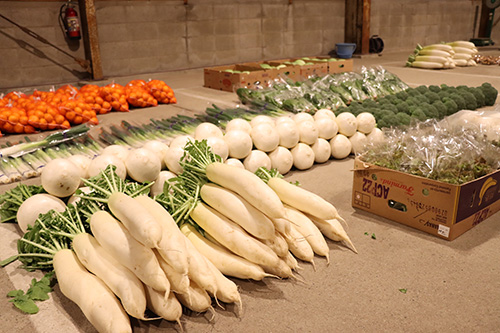 市場には新鮮な野菜などが並べられた