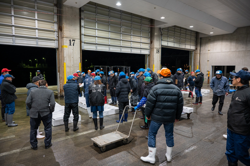 セリ人の掛け声が響く市場で多くの魚が競り落とされた