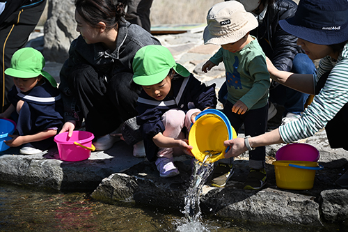 鮎の稚魚を放流する様子