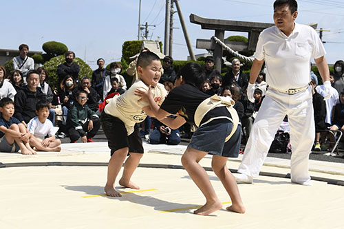 子ども相撲の様子
