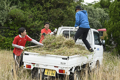 刈り取った草は軽トラックに積んで運び出しました