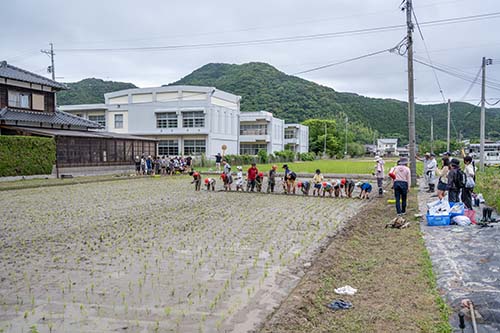 田植えの風景
