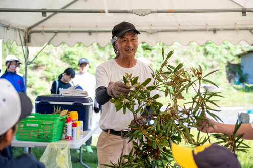 花がらの摘み方について説明を行う様子