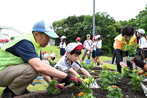 花を植える様子