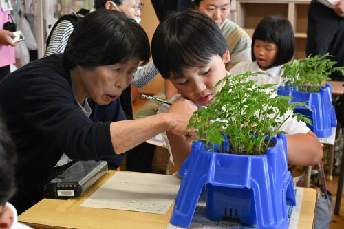 2年生の授業の様子