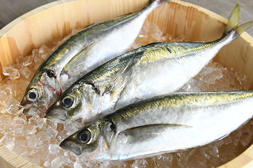仙崎トロあじ
