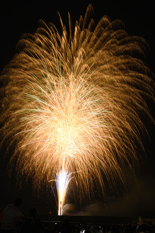 夜空に輝く花火