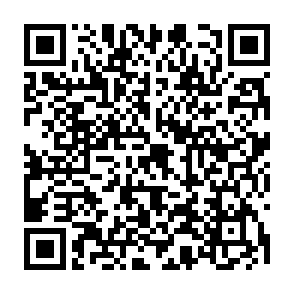 申込QRコード