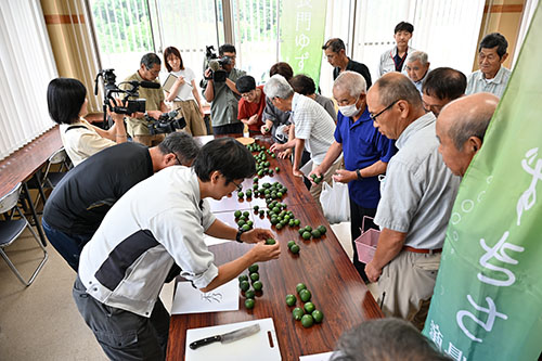 長門ゆずきちを品質ごとに分類する様子