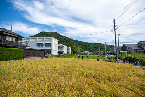 田んぼの様子