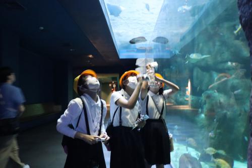 R8修学旅行12