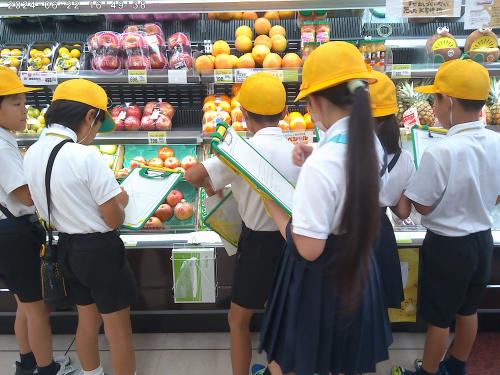 サンマート見学