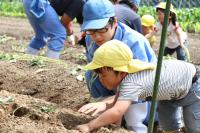 日置校舎の生徒に教わりながら苗植えを体験