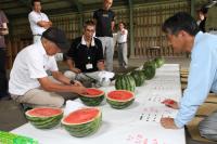 大玉で甘味が強いのが特徴の「日置すいか」