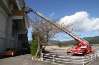 はしご車を使った救出訓練を実施