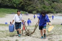 協力してごみを運ぶ