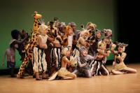 今回上演される作品「心の翼広げて」は、キャストがすべて動物なのが特徴