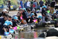 たくさんの生き物が育つ美しい川となるよう願い鮎を放流