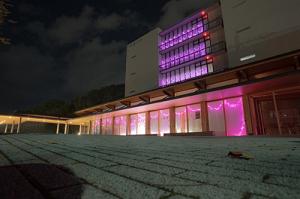 本庁ライトアップの様子