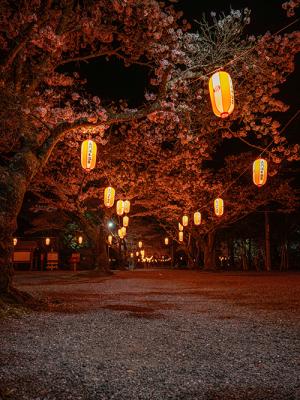 ライトアップの様子